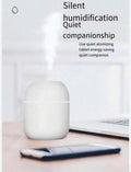 Mini humidifier