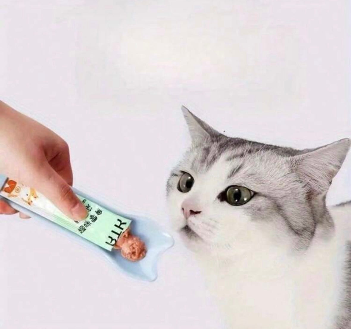 Treat squeeze spoon