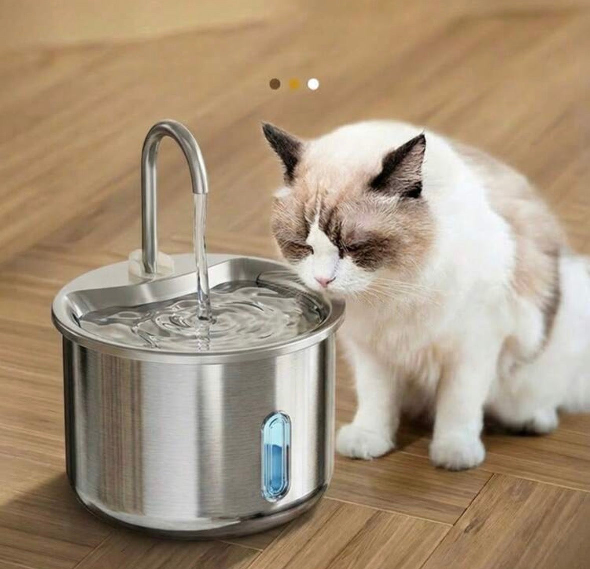 Water fountain