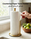 Stainless steel paper towel holder