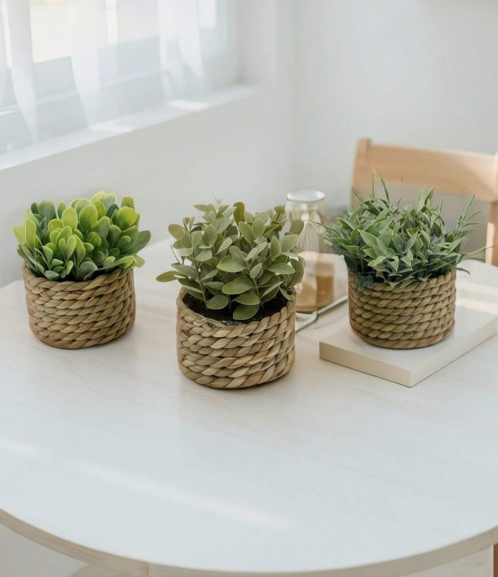 Woven rattan potted plants