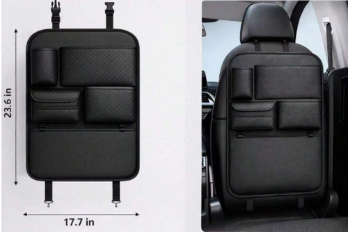 Backseat organizer