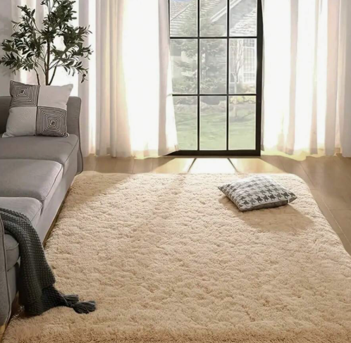Aesthetic plush carpet