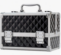 Professional makeup train case