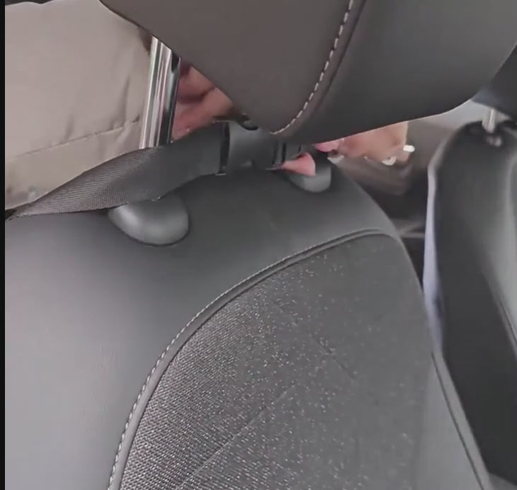 Backseat organizer